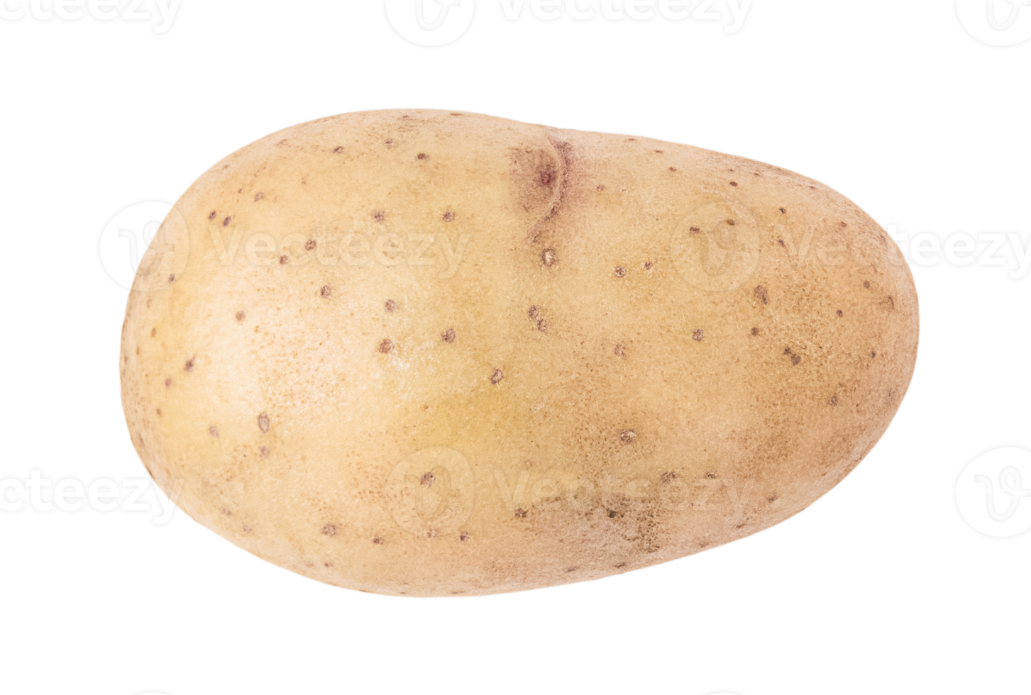 One young potato isolated on transparent background. Stock photo png