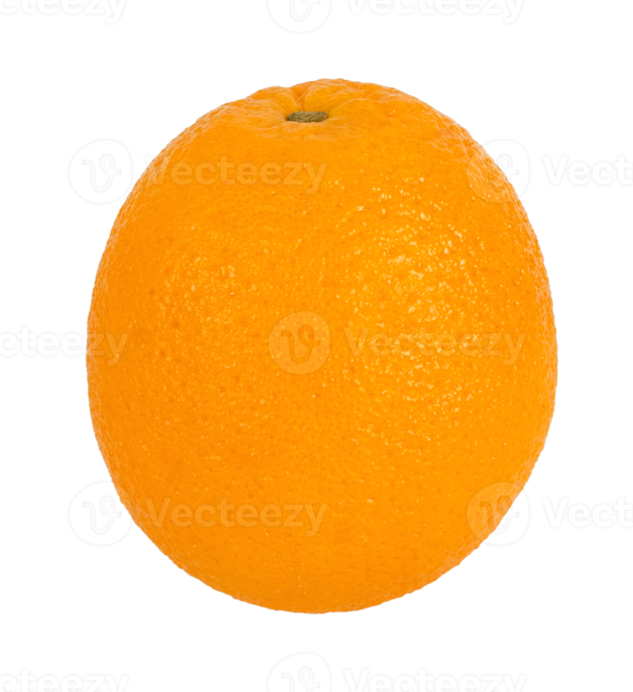 Orange fruit isolated on transparent background. Stock photo png