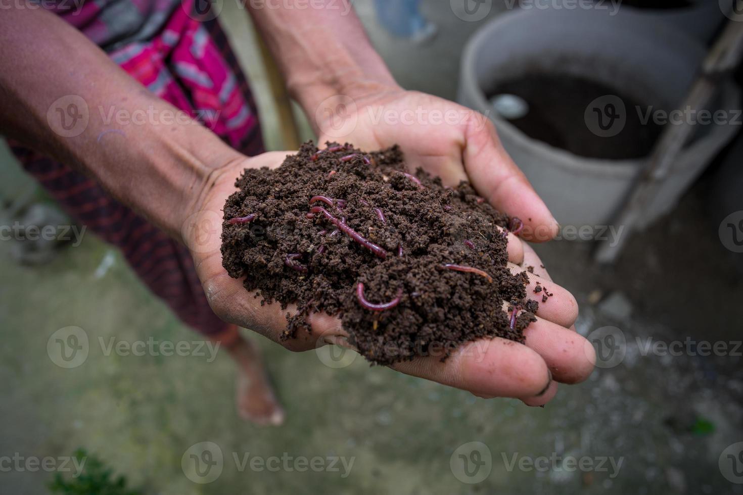 mano participación compost con gusanos rojos un granjero demostración el gusanos en su manos a chuadanga, bangladesh foto