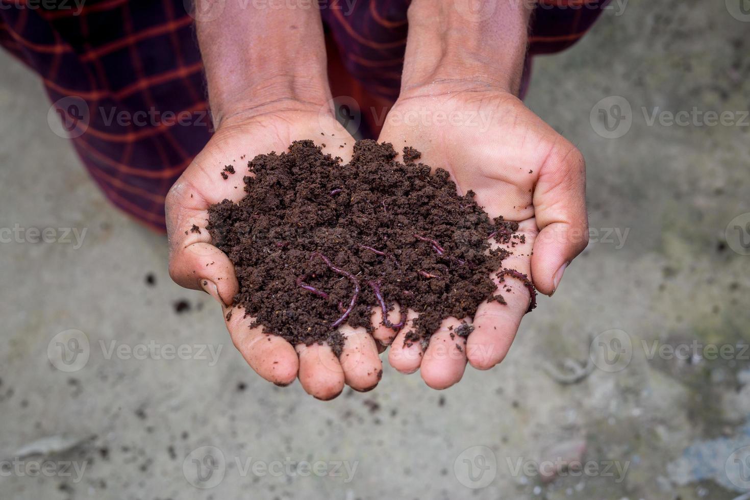 mano participación compost con gusanos rojos un granjero demostración el gusanos en su manos a chuadanga, bangladesh foto