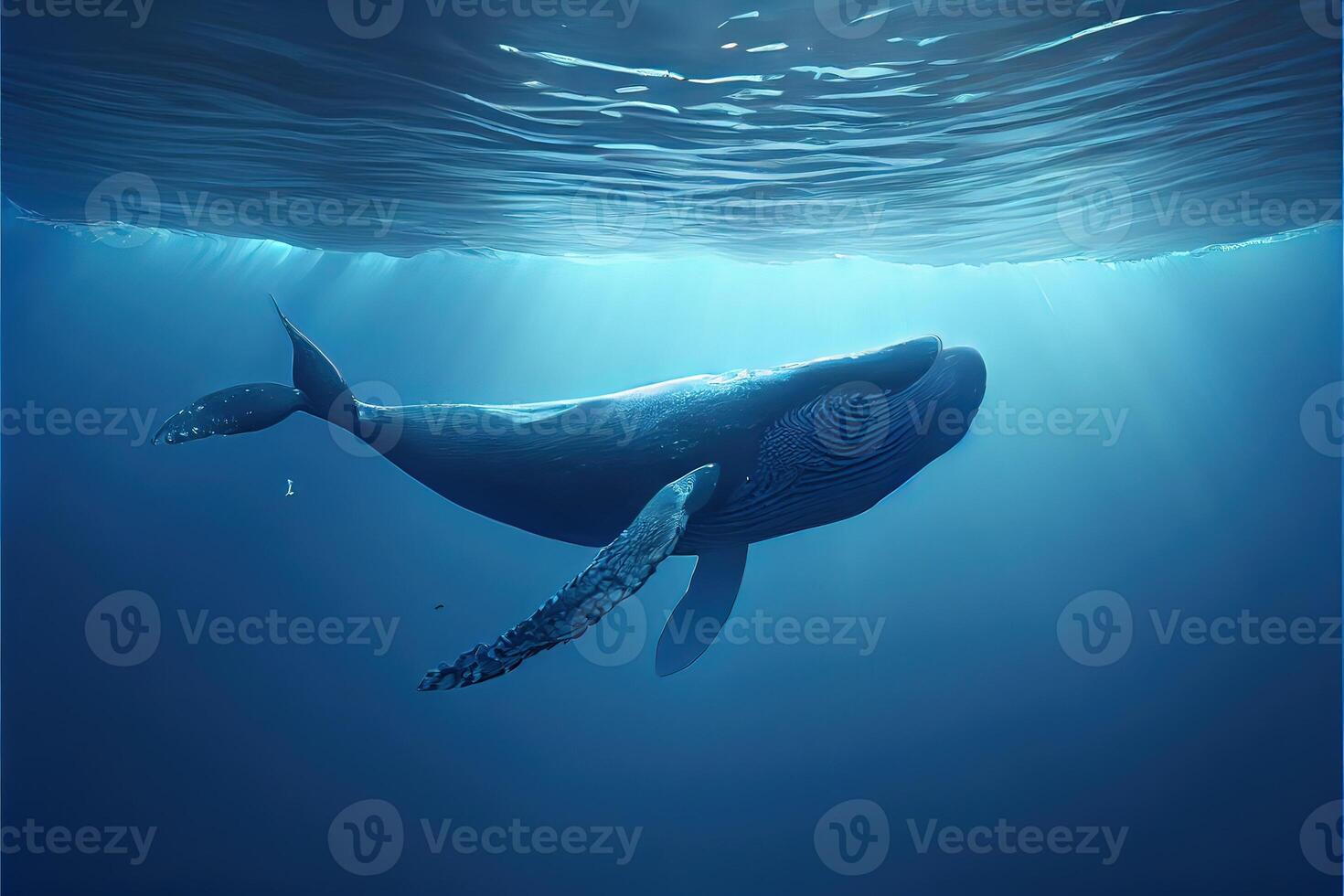 illustration of Blue whale under water, ocean photo