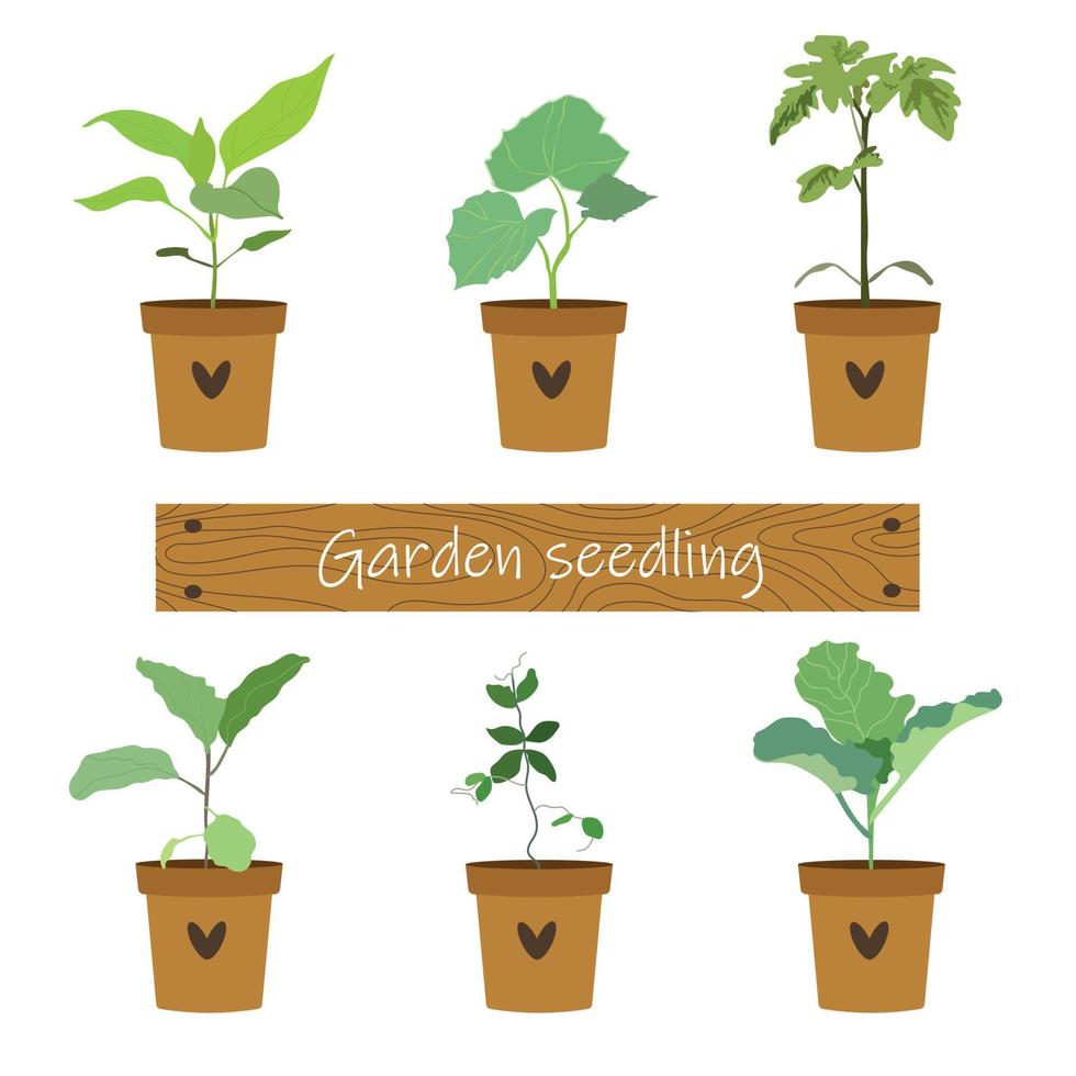 Vector set of garden seedlings. Various vegetable sprouts in pots. Tomato, cucumber, peas, cabbage, eggplant, pepper.