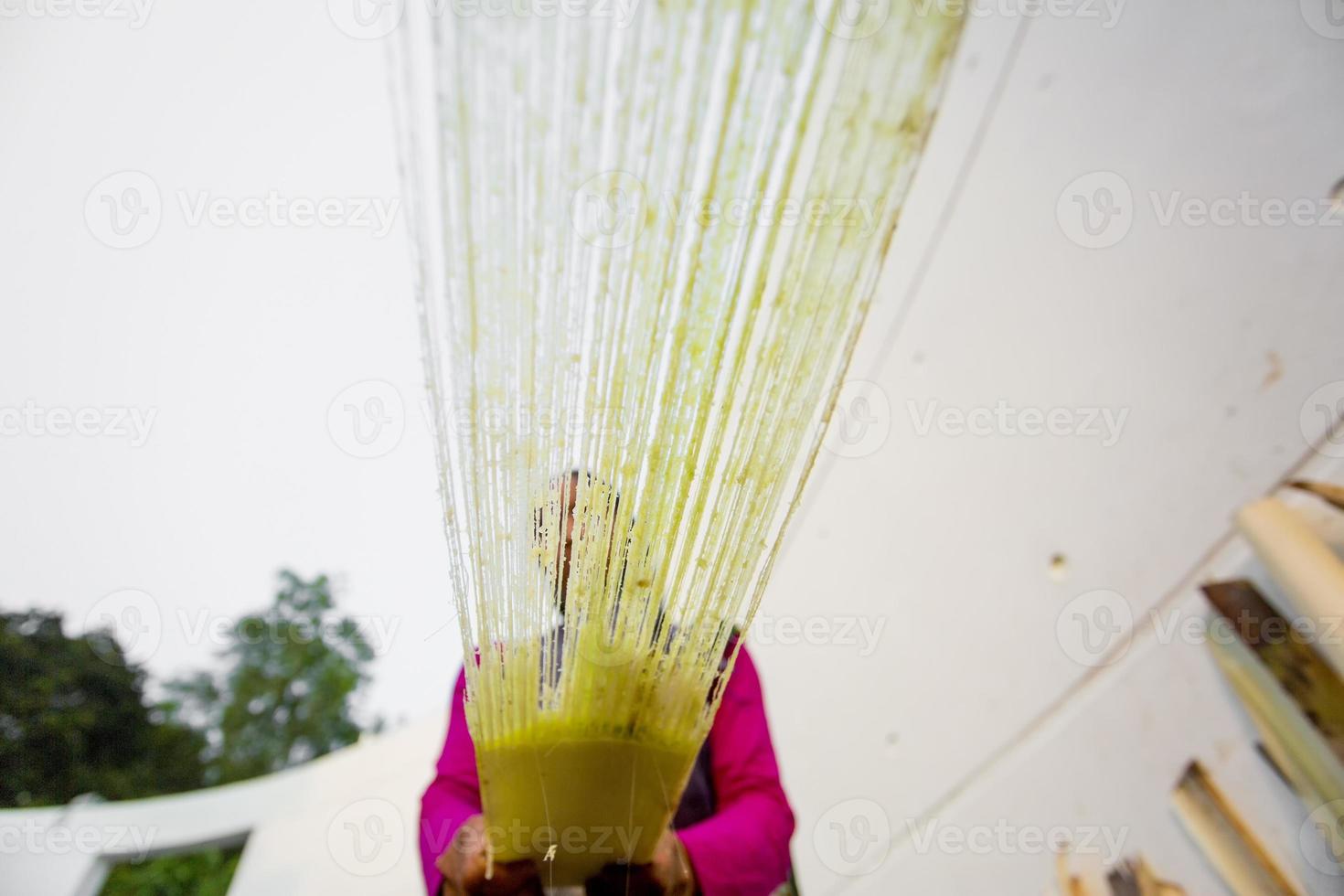 A female worker is processing the fibers of a banana tree through a fiber extraction machine. Rubber fiber of banana tree. Agricultural waste product. photo