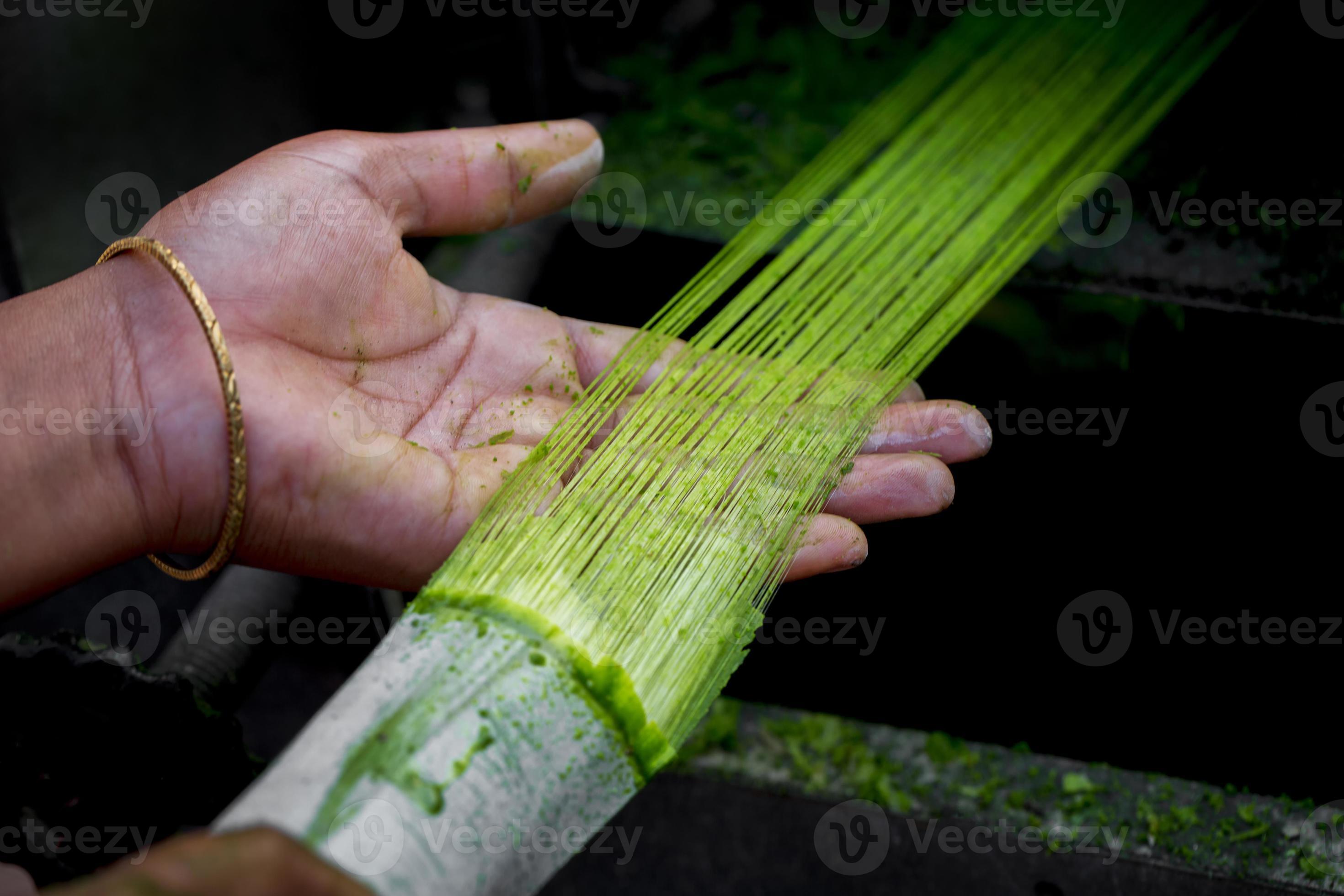 Fiber is being made from the pineapple tree leaves. A Hand and Unwashed