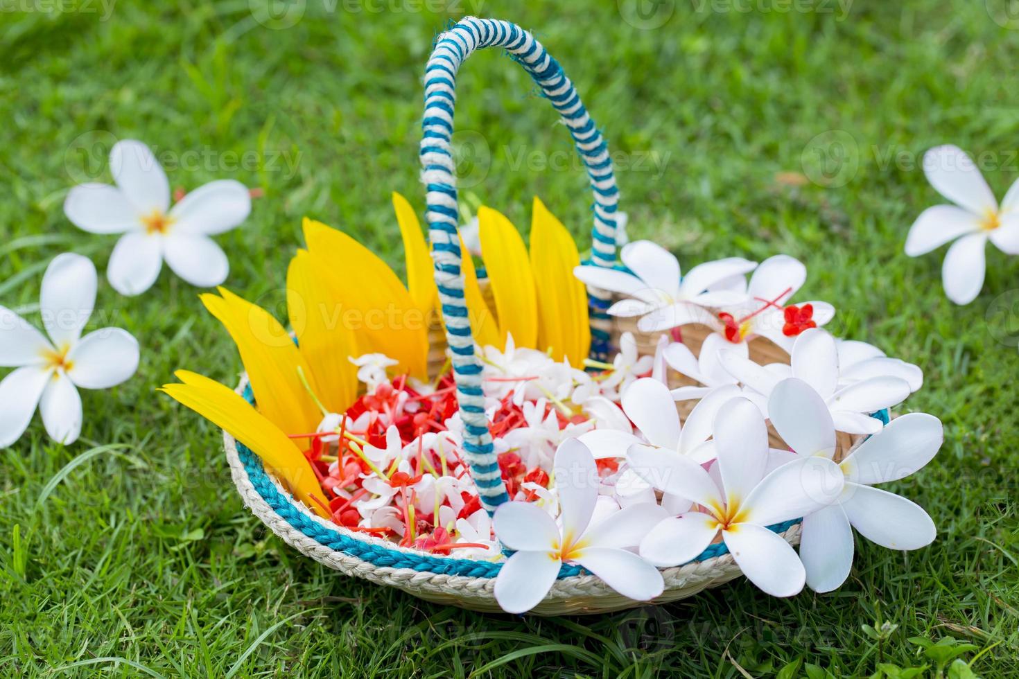 un flor cesta hecho de bambú palos y fibra. verde césped flores antecedentes. verano flores foto