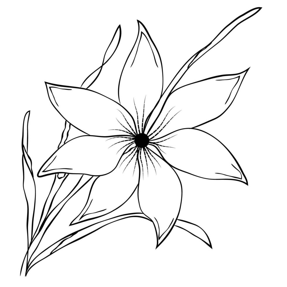 Free Vector line art and hand drawing flower art black and white flat design simple flower