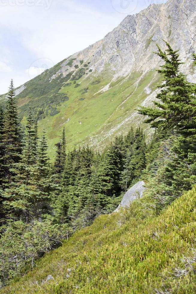 skagway pueblo Superior dewey lago escarpado montaña Pendiente foto