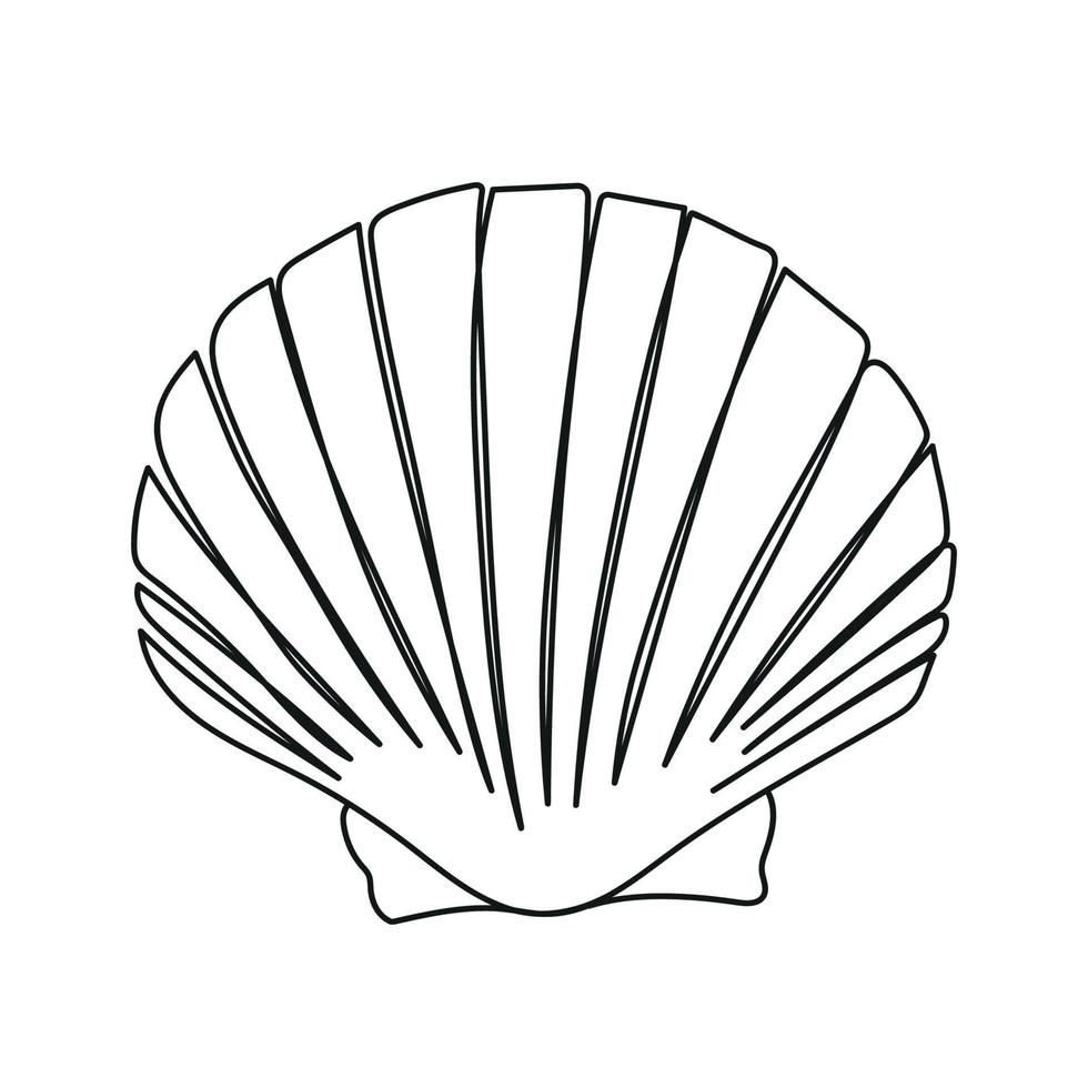 One line drawing of a shell. Hand drawn outline marine illustration of seashell. vector