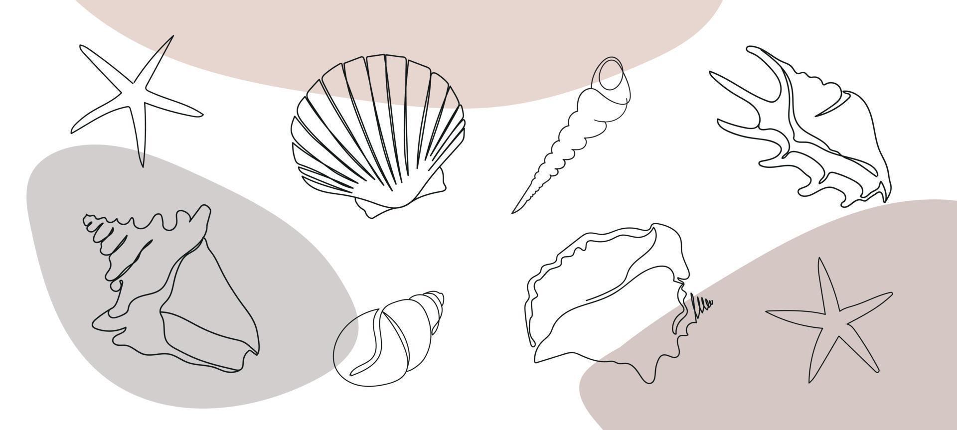 conchas marinas conjunto en un resumen antecedentes. uno línea dibujo de un caparazón. mano dibujado marina ilustraciones de conchas marinas verano tropical Oceano playa estilo. vector