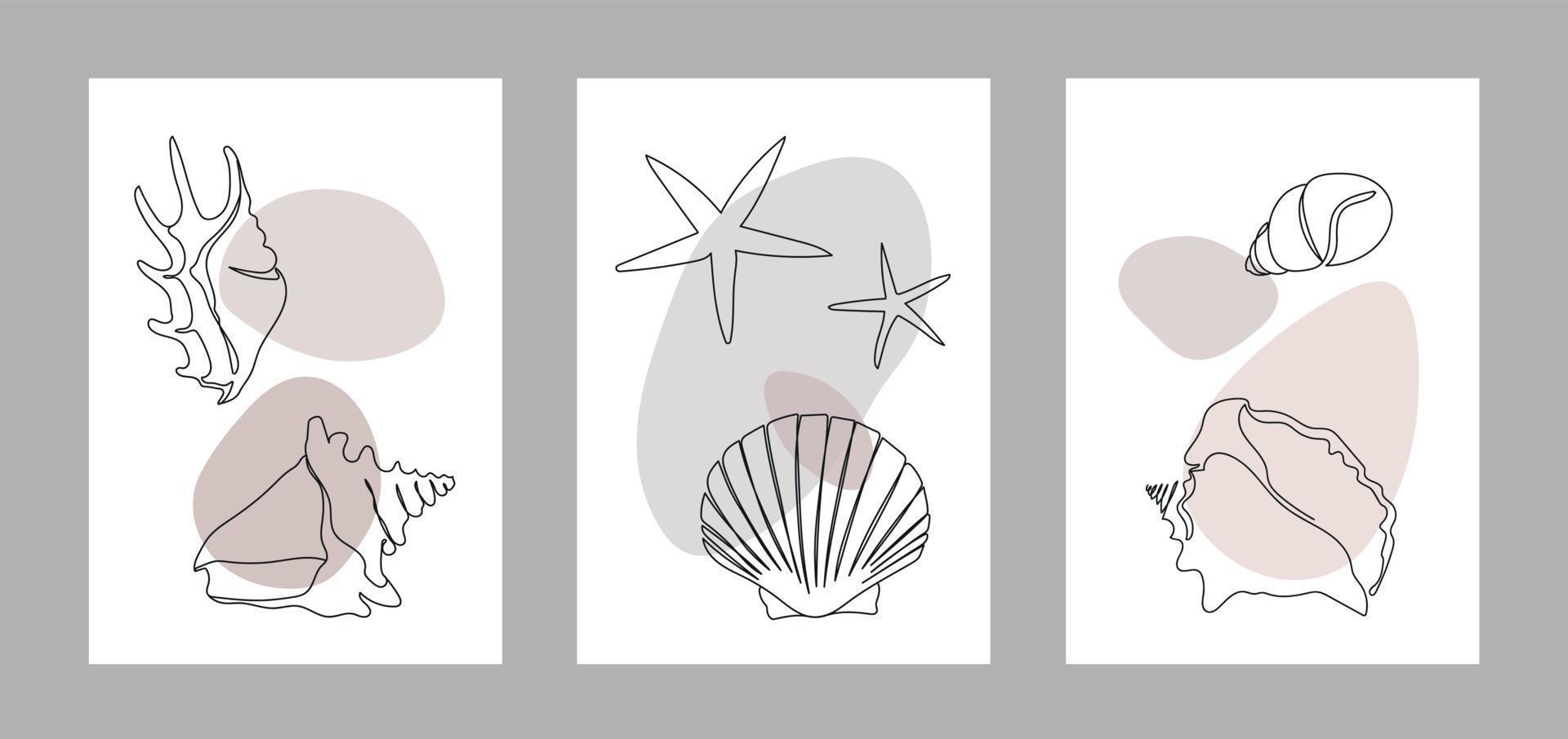 Seashells on an abstract background. One line drawing of a shell vector