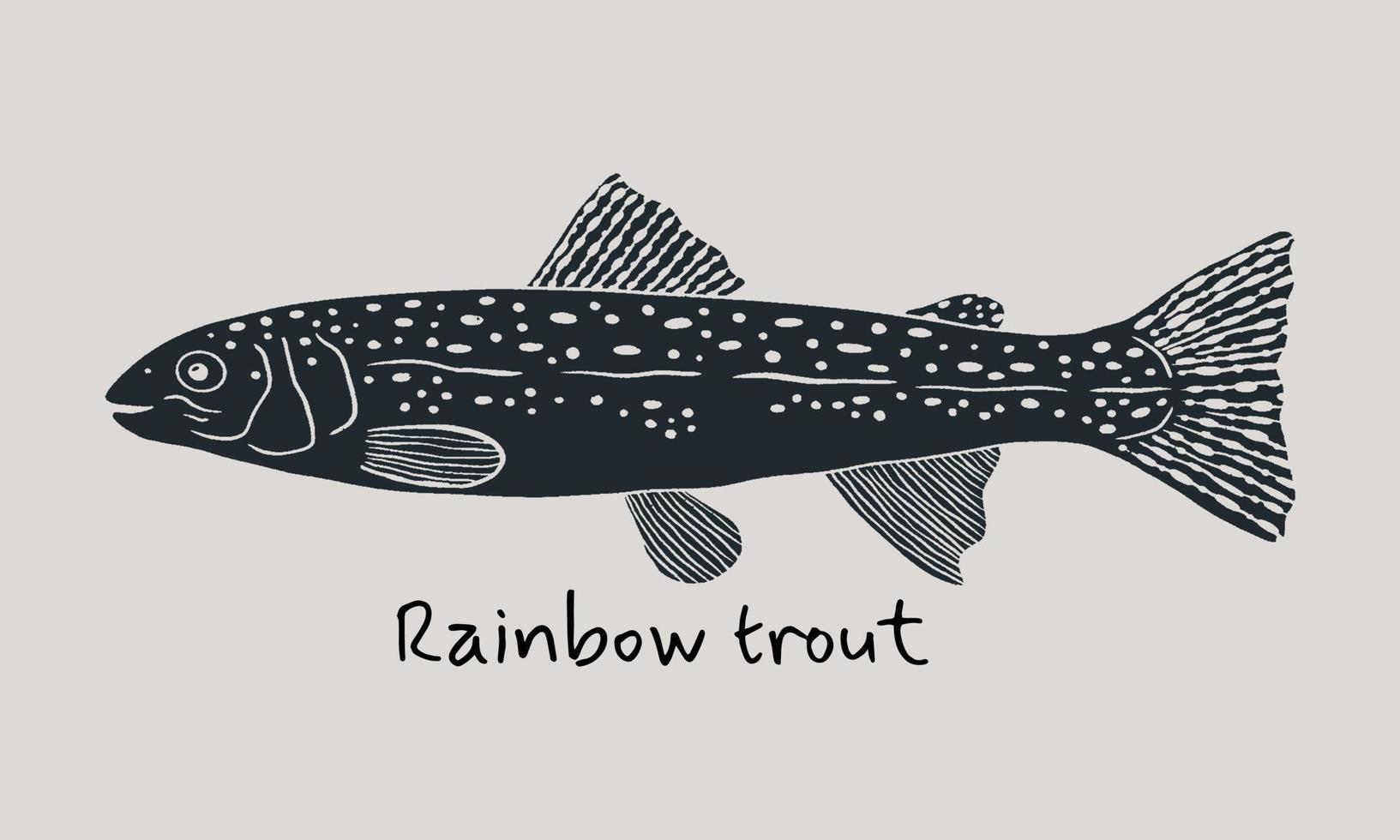 Hand drawn rainbow trout fish in sketch style. Simple vector isolated illustration on beige background