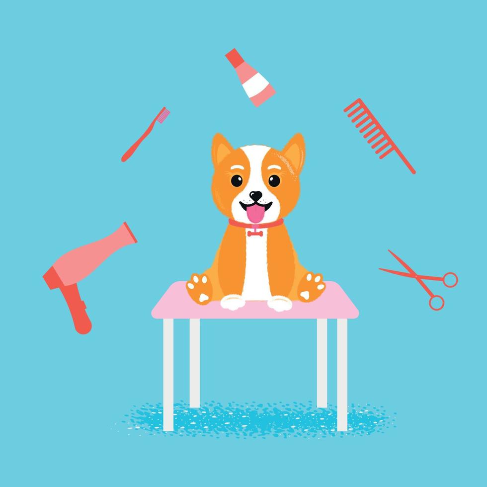 Dog grooming bath, great design for any purposes. Beauty concept. Adorable pet. Pet wash, grooming. vector