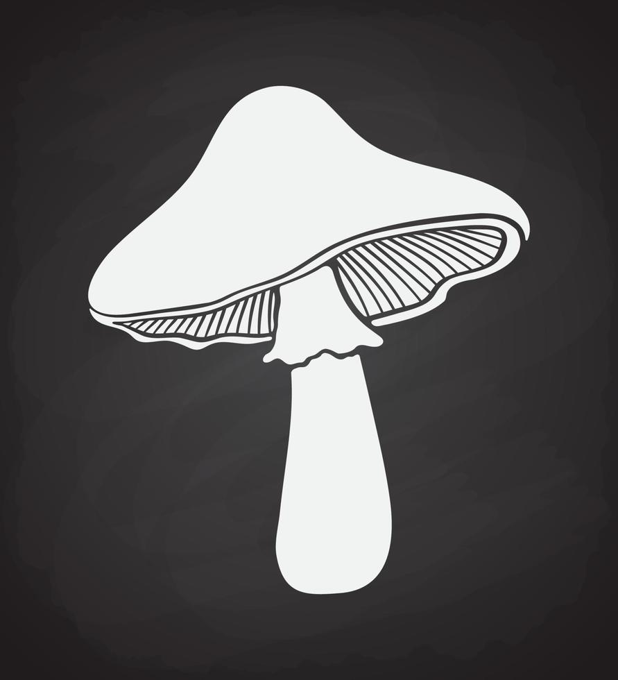 Silhouette of mushroom on blackboard vector