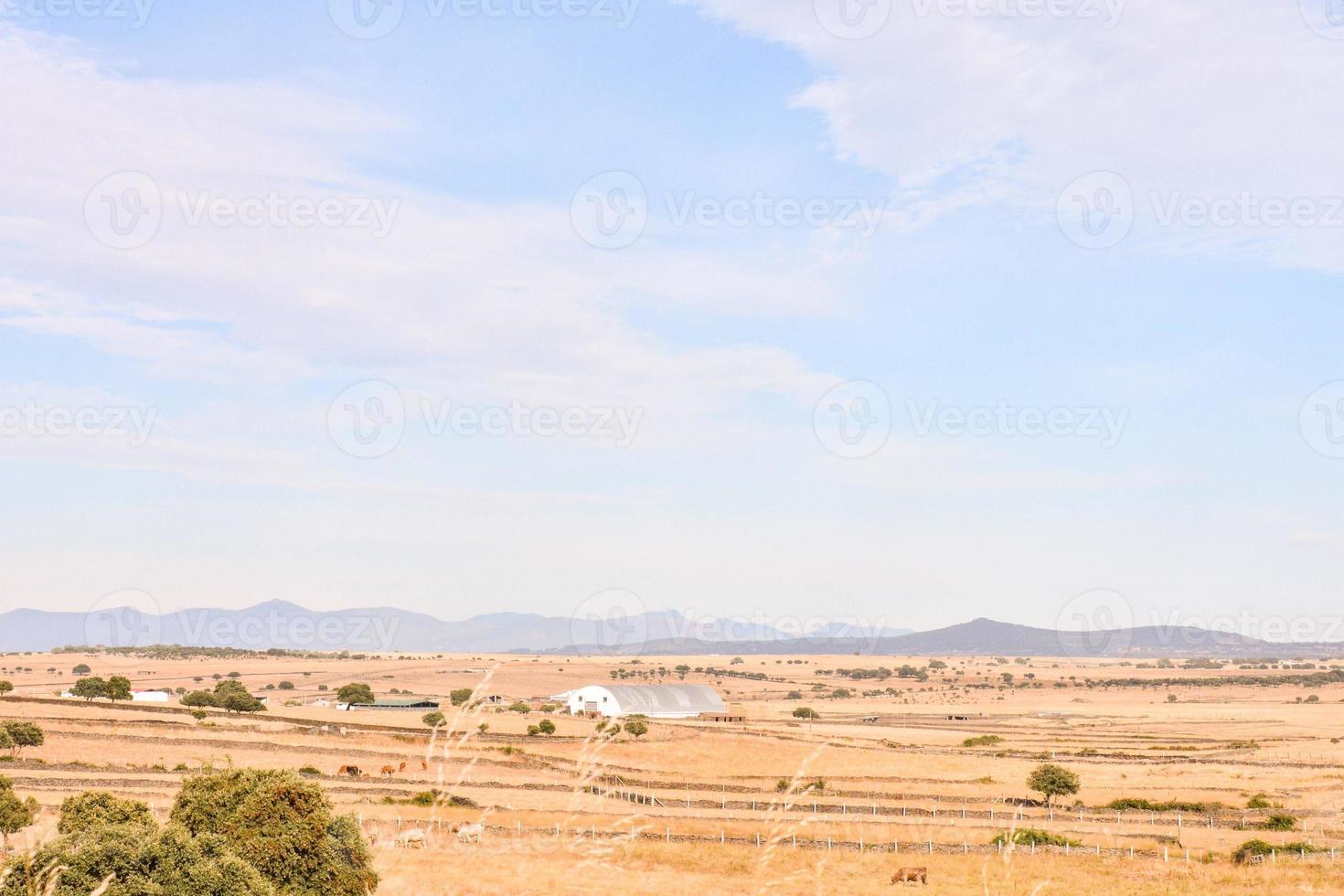 Scenic rural landscape photo