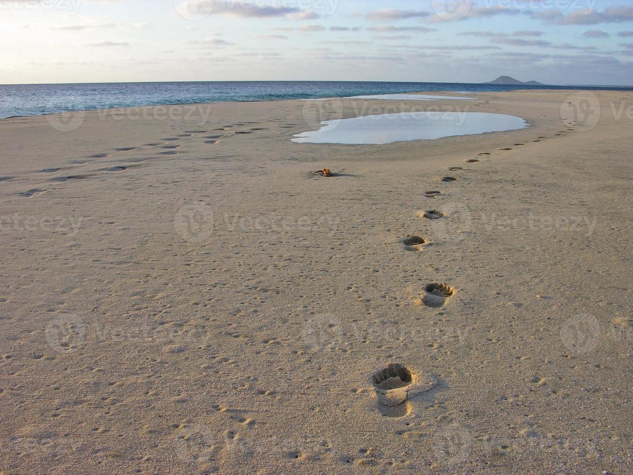 Scenic coastal view photo