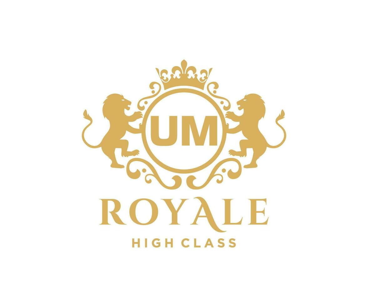 Golden Letter UM template logo Luxury gold letter with crown. Monogram alphabet . Beautiful royal initials letter. vector
