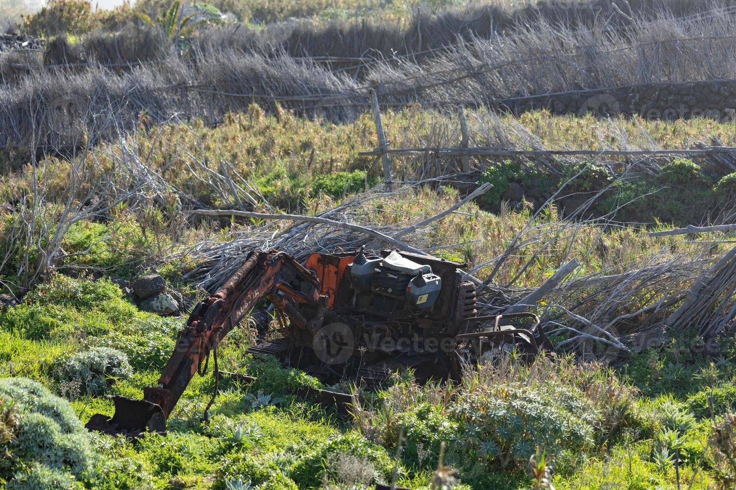 un antiguo oxidado tractor sentado en un campo siguiente a un arbusto foto