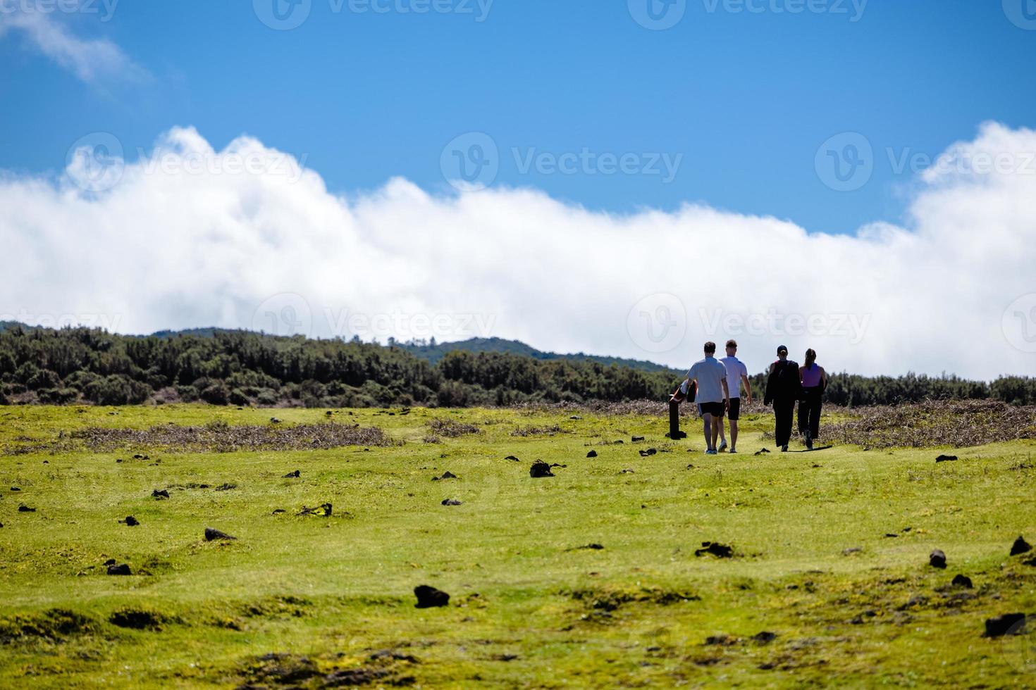 A group of people are walking in the grass under a cloudy sky photo