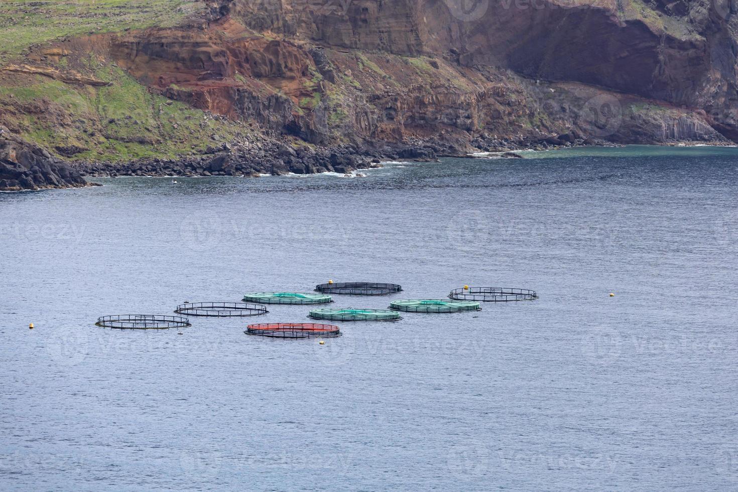 Many fish pots are in the middle of the ocean on the shore photo