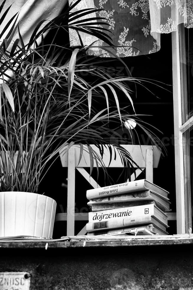 abierto ventana en verano en cuales el ventana umbral mentiras libros y un rosquilla planta soportes, foto