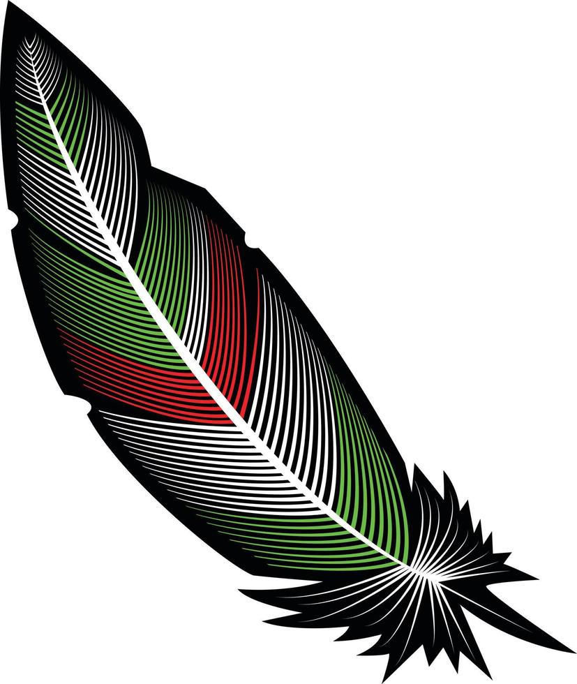 Vector Image Of A Feather In Various Colors