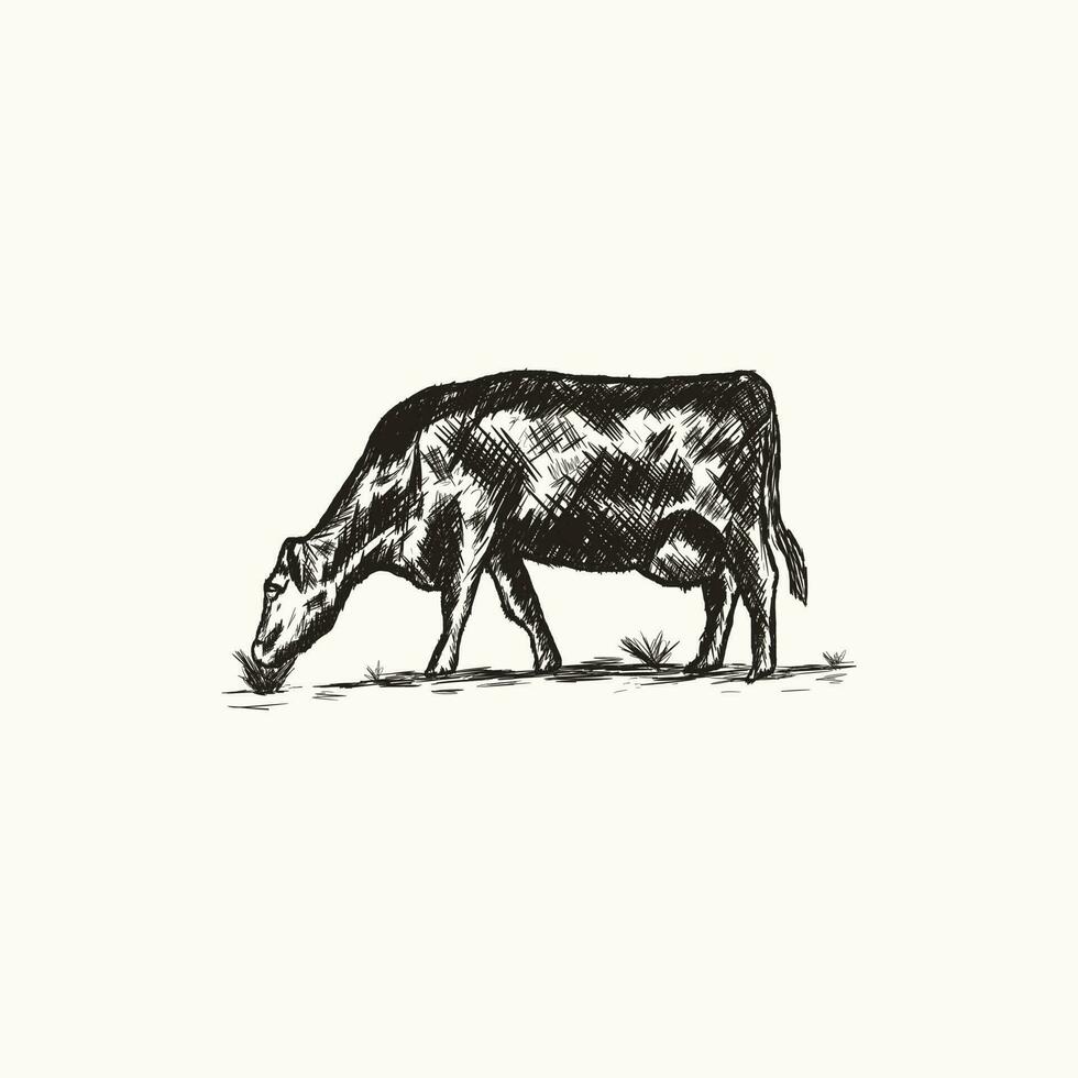 vintage hand drawn silhouette illustration of a cow eating grass. grunge vector