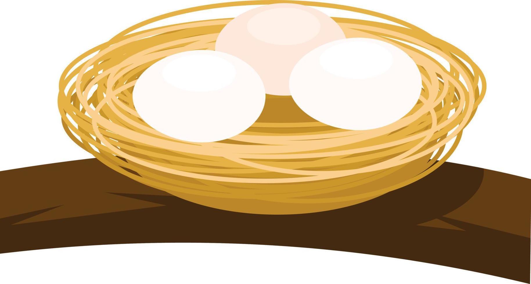 vector imagen de aves huevos en el nido
