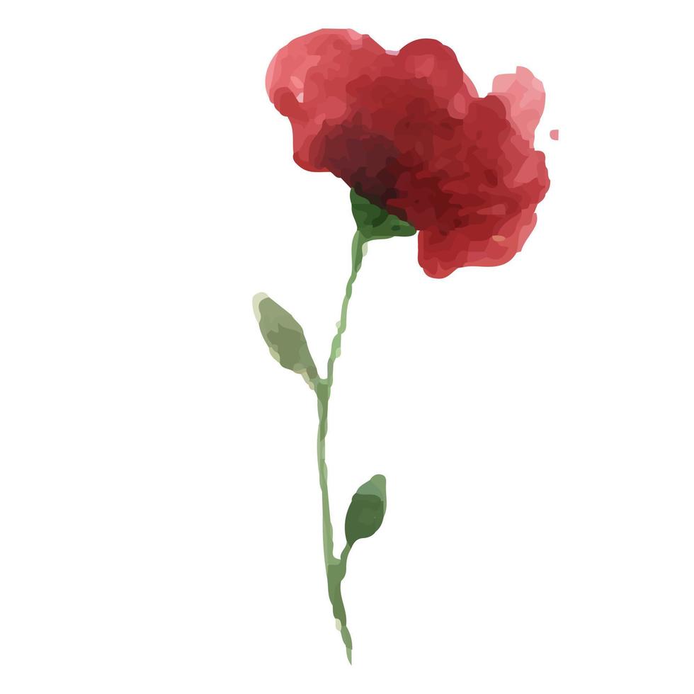 hand drawn water color painting beauty flower for your design and greeting vector