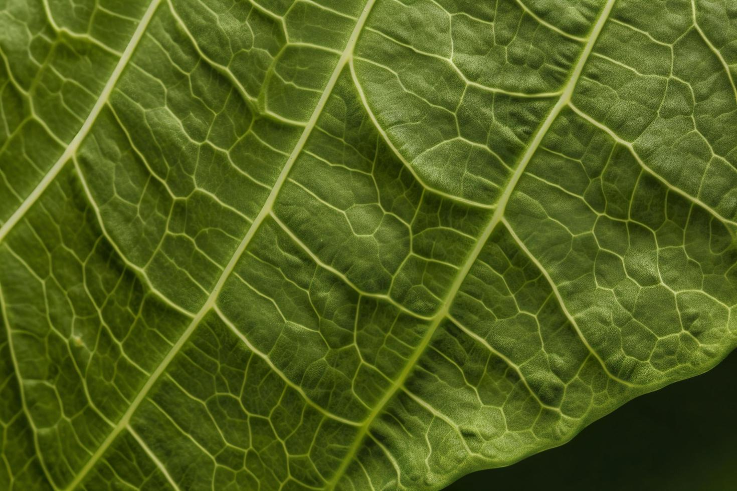 Close-up of green leaf nerves, generat ai photo