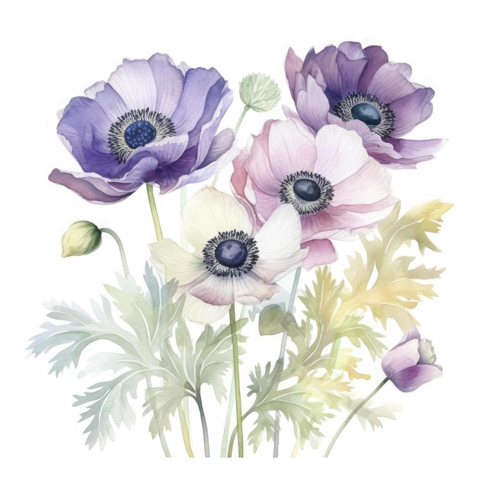 free anemones flowers water color, pastel ,white background , generat ai photo