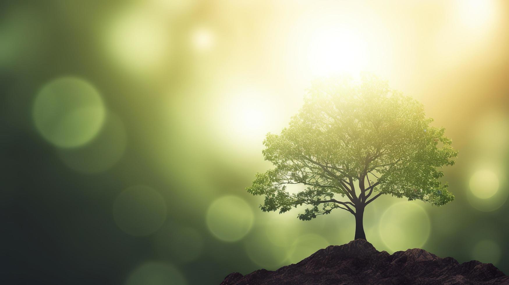 Free photo 3d background of the sun shining onto a tree against a bokeh background, generat ai