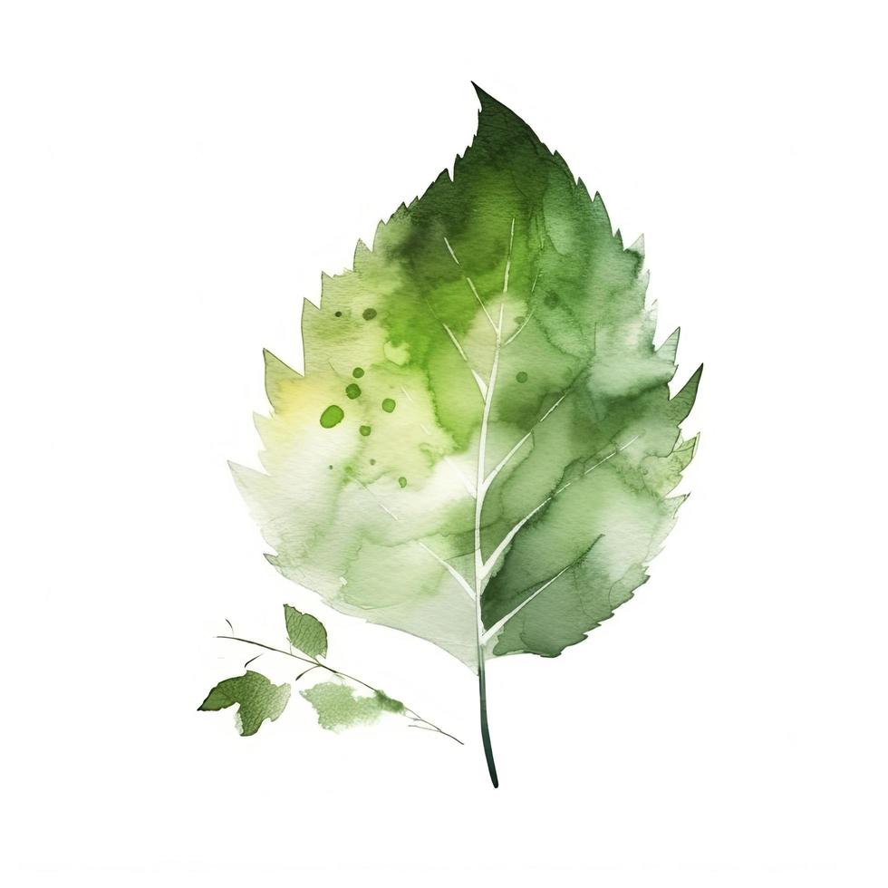 hoja verde minimalismo, acuarela en blanco fondo, generar ai foto