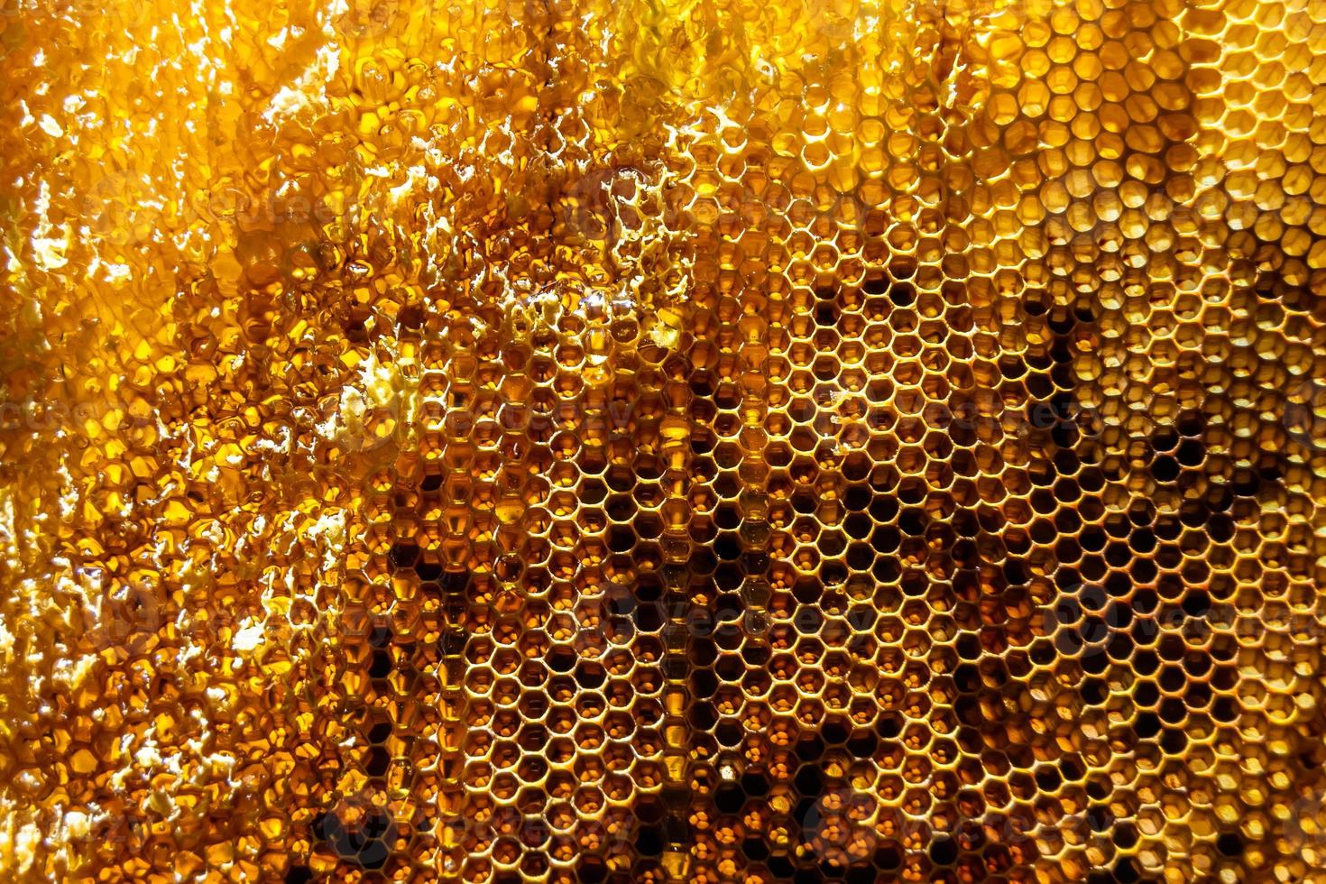 gota de goteo de miel de abeja de panales hexagonales llenos de néctar dorado foto