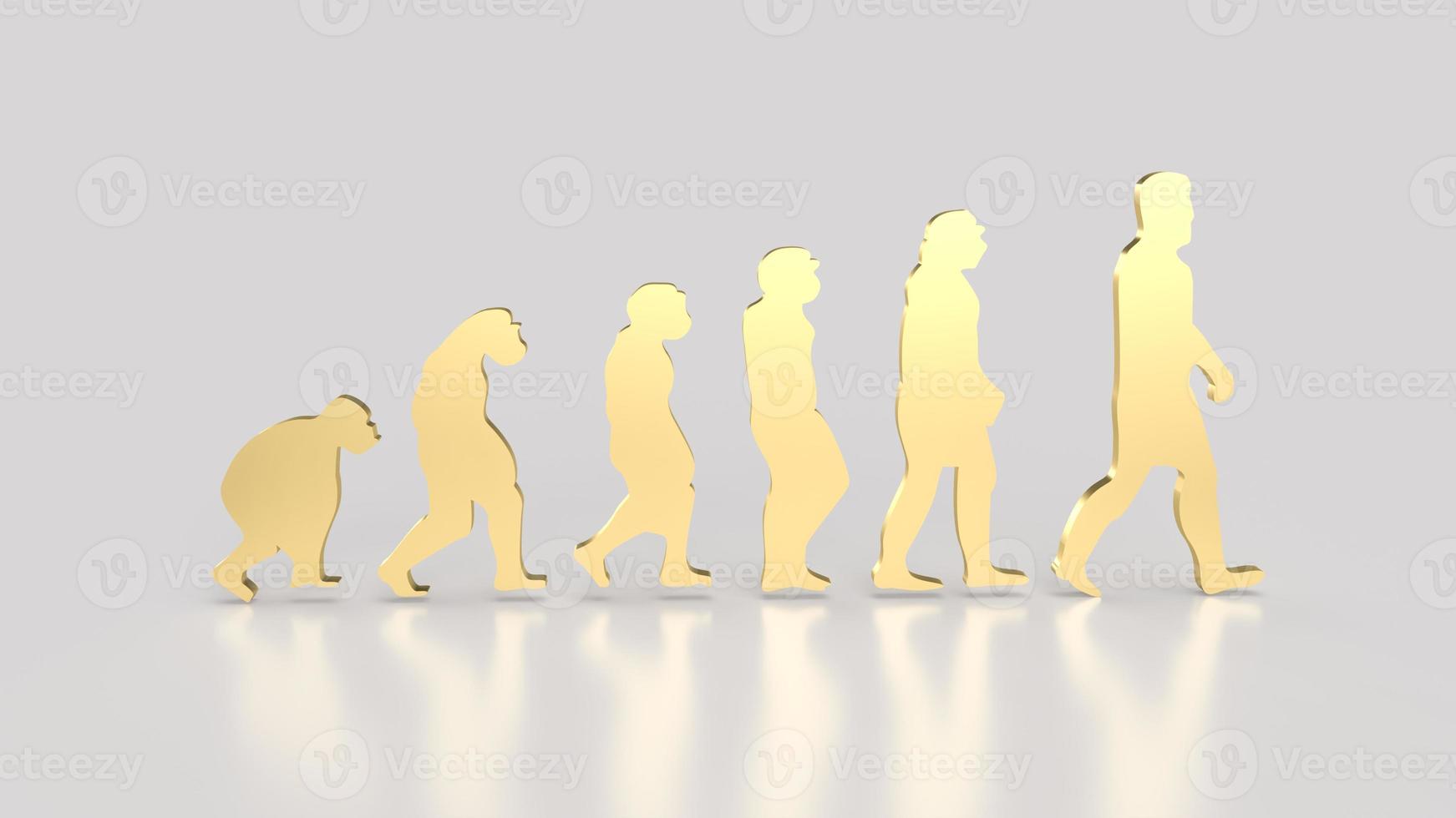 The human evolution image for education or sci concept 3d rendering photo