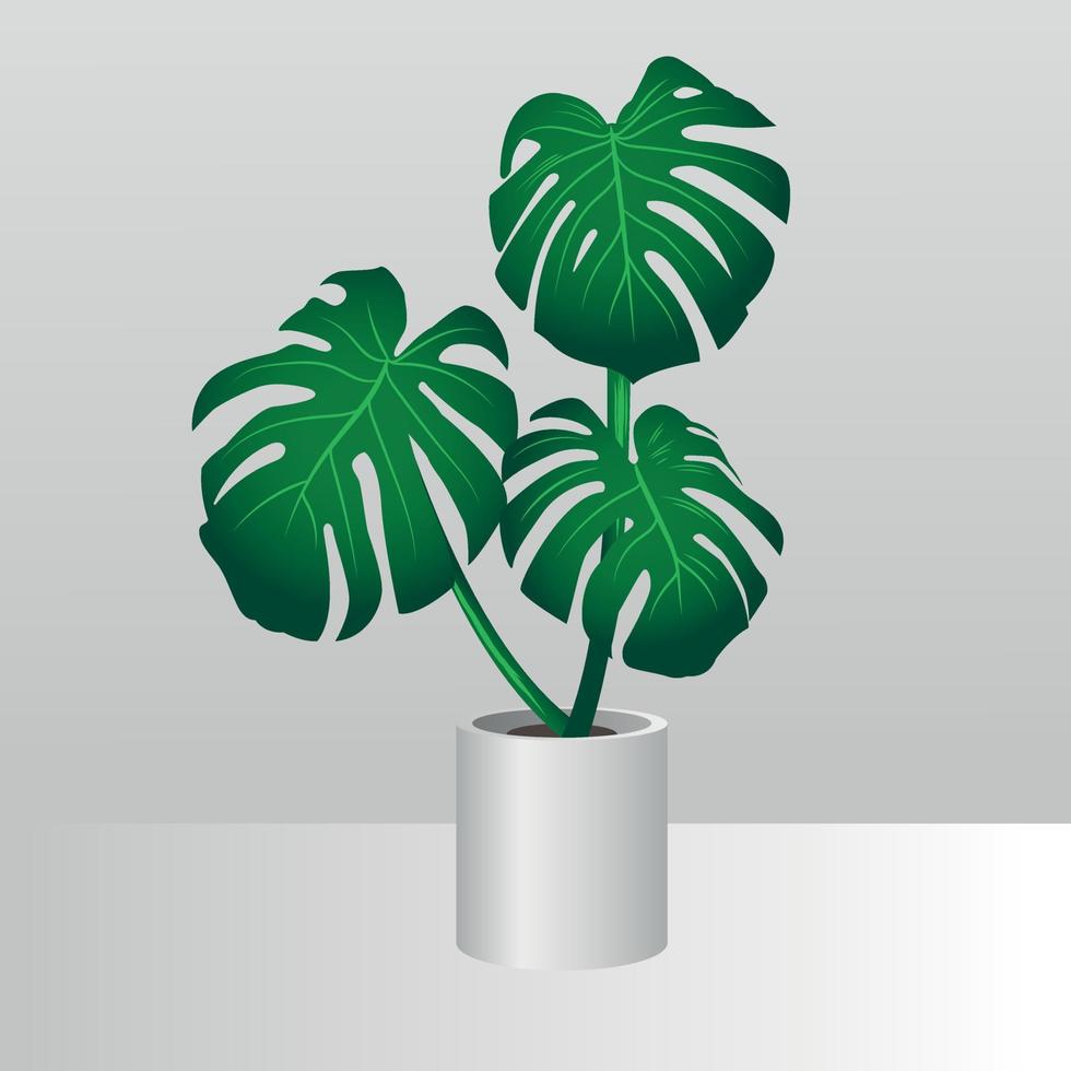 large-leaved plant in desktop pot, relaxing decorative, vector, light background vector