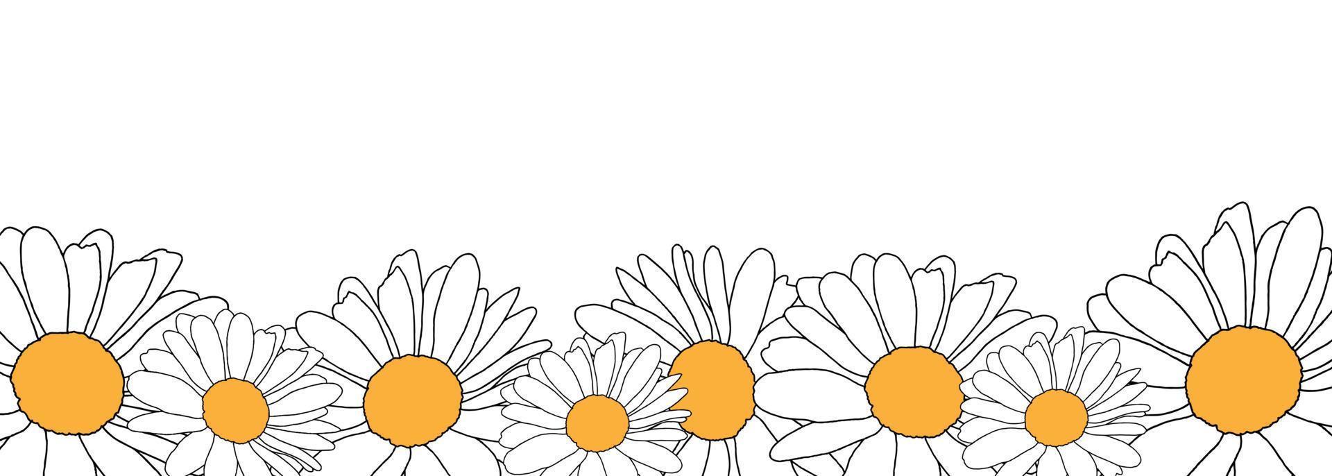 Border of daisies on white background. For design of website or shop for spring or summer vector