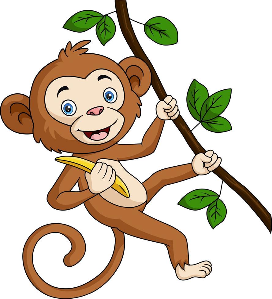 linda mono dibujos animados colgando y sostiene plátano en árbol rama vector