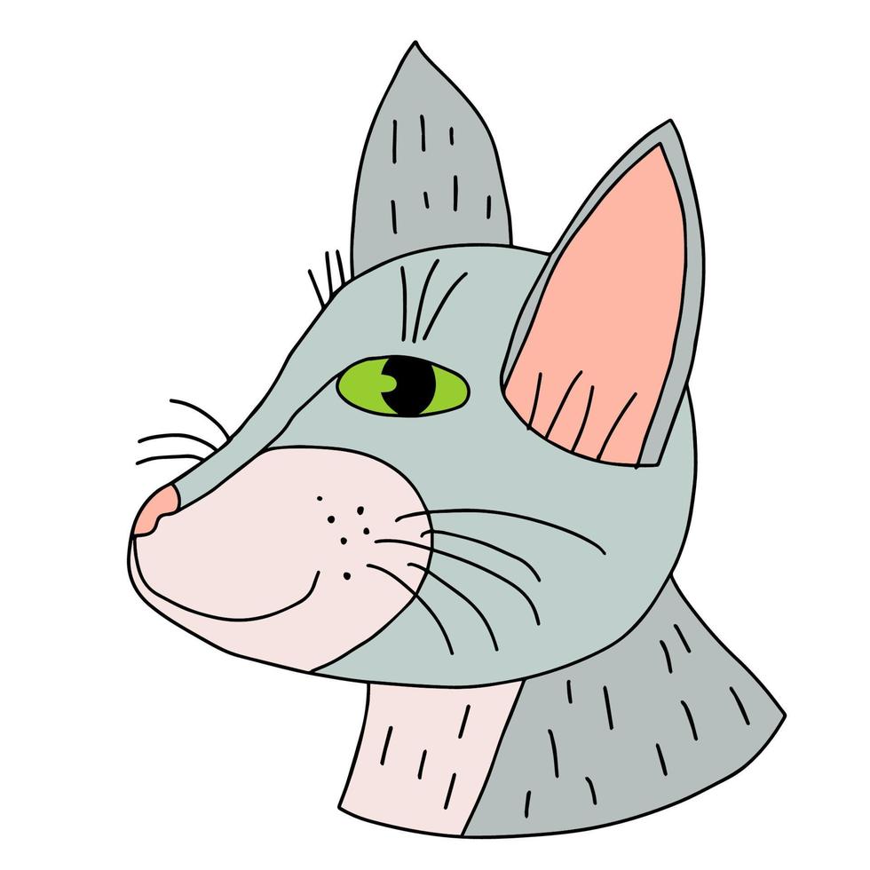 Cartoon doodle cat's muzzle isolated on white background. vector