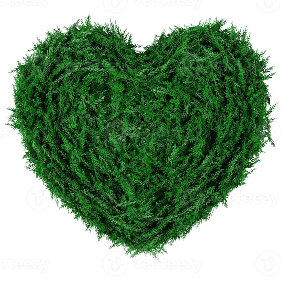 Green grass with heart shape photo