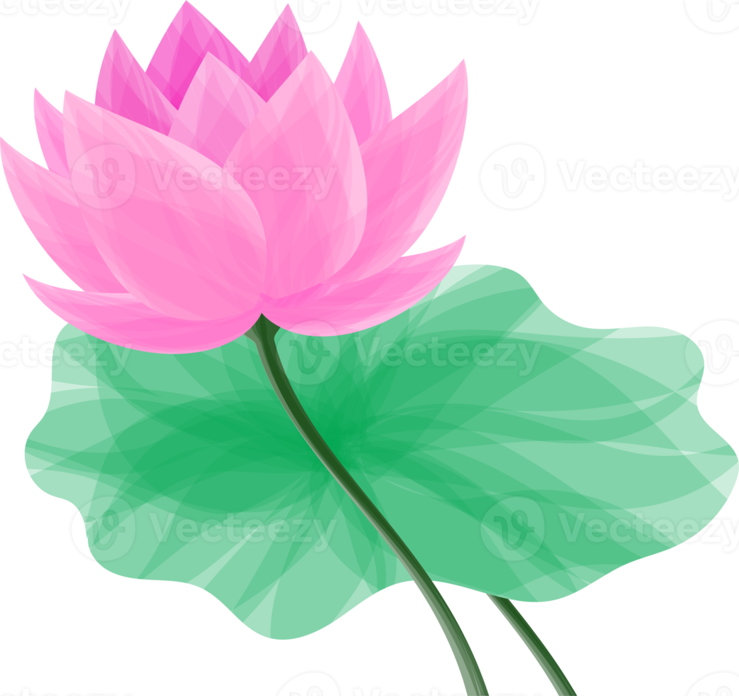 Abstract art lotus flower png