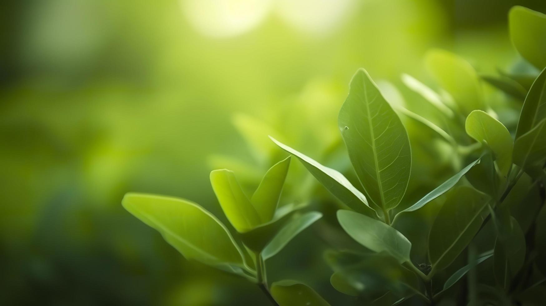 Close up beautiful view of nature green leaves on blurred greenery tree background, generat ai photo