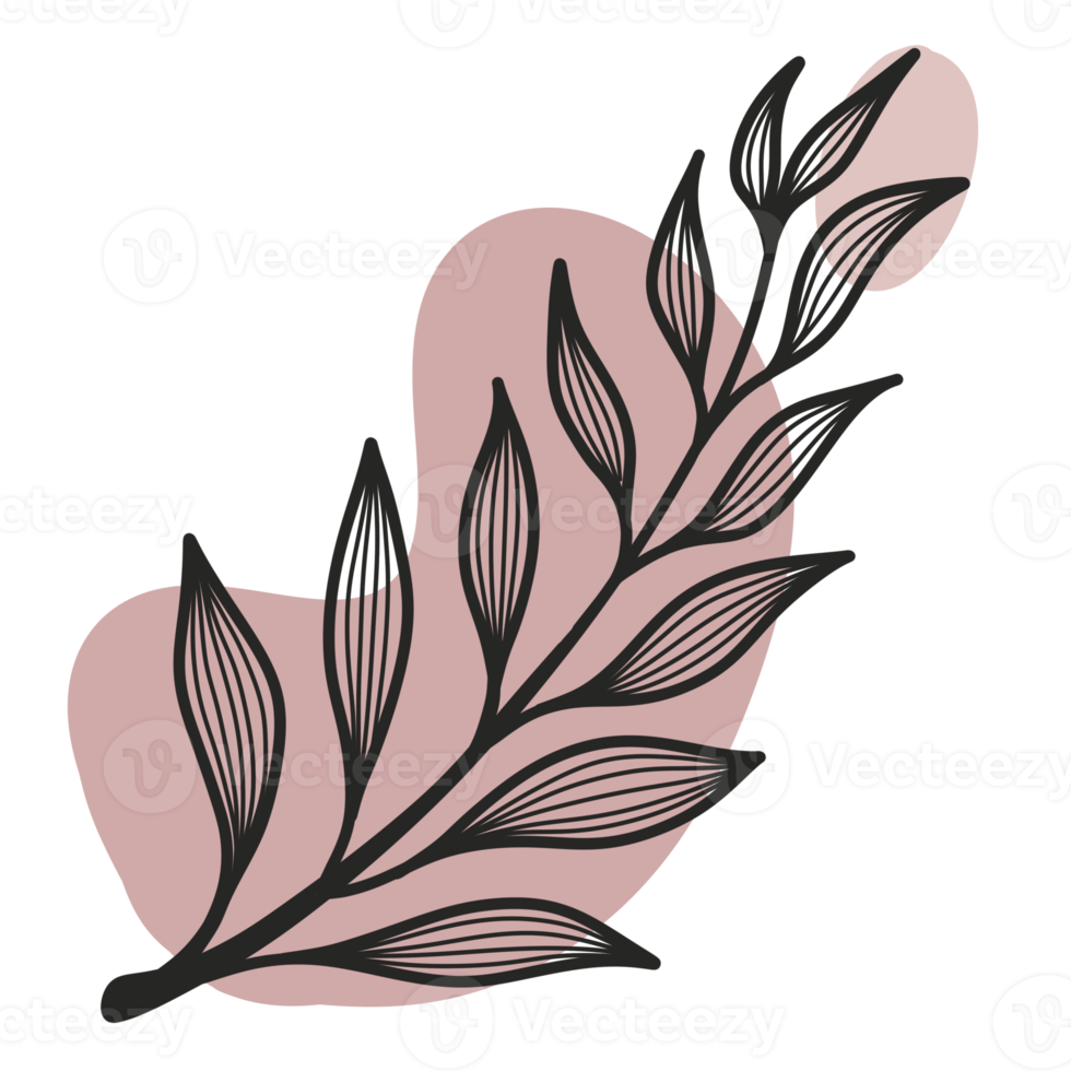 Line Art Leaf png