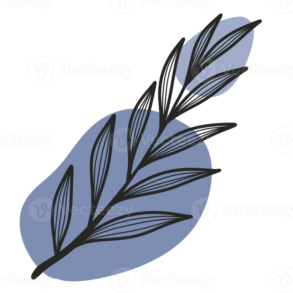 Line Art Leaf png