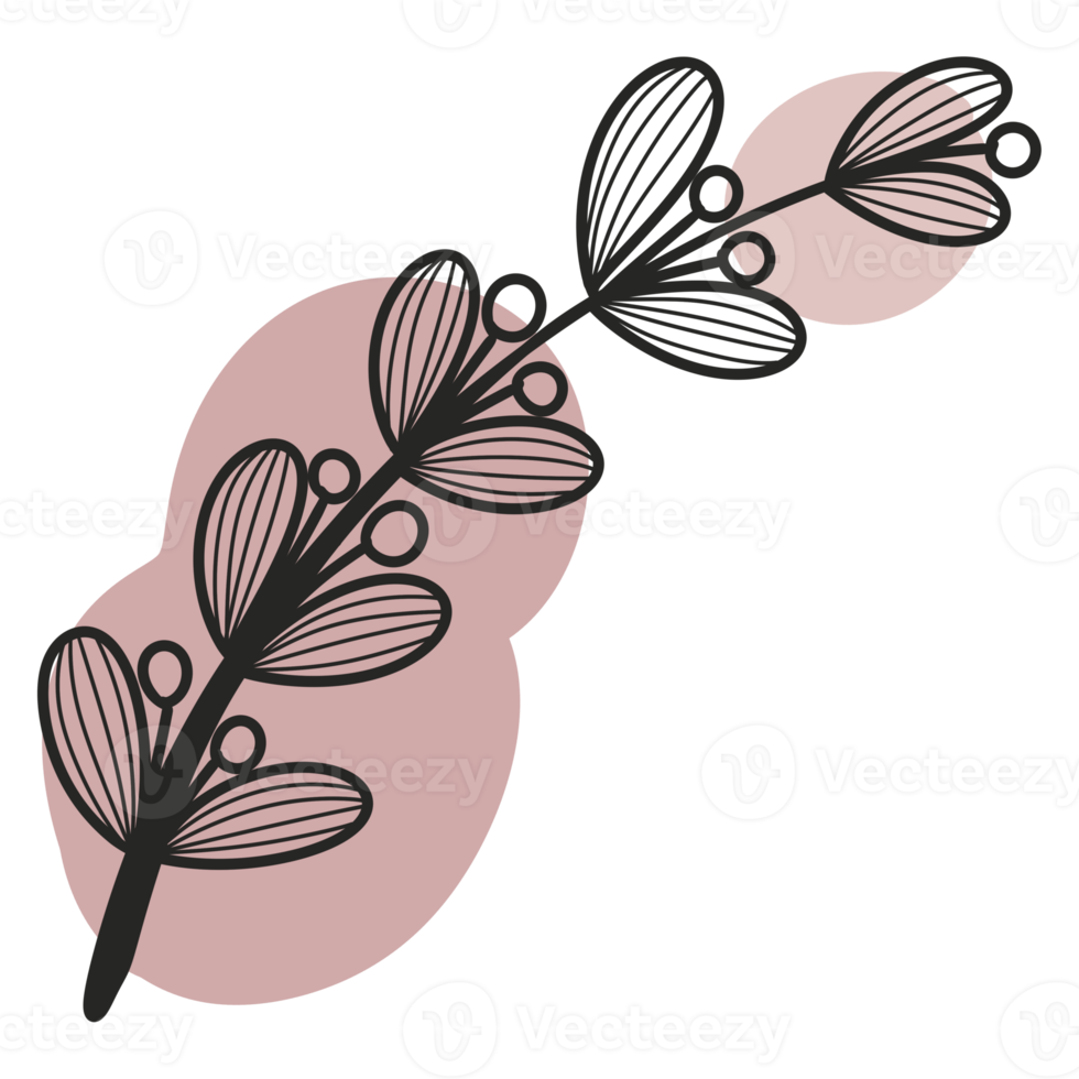 Line Art Leaf png