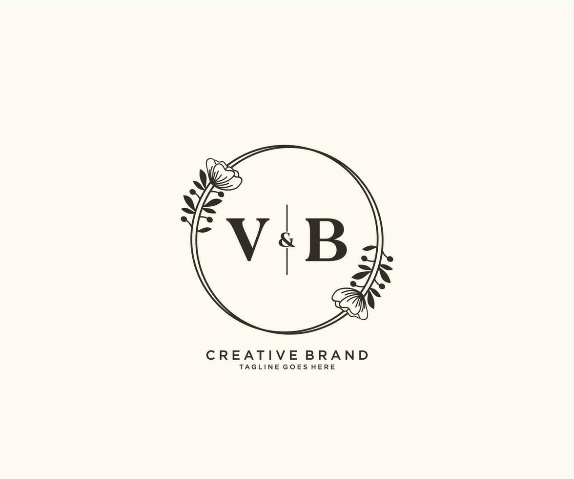 initial VB letters hand drawn feminine and floral botanical logo suitable for spa salon skin hair beauty boutique and cosmetic company. vector