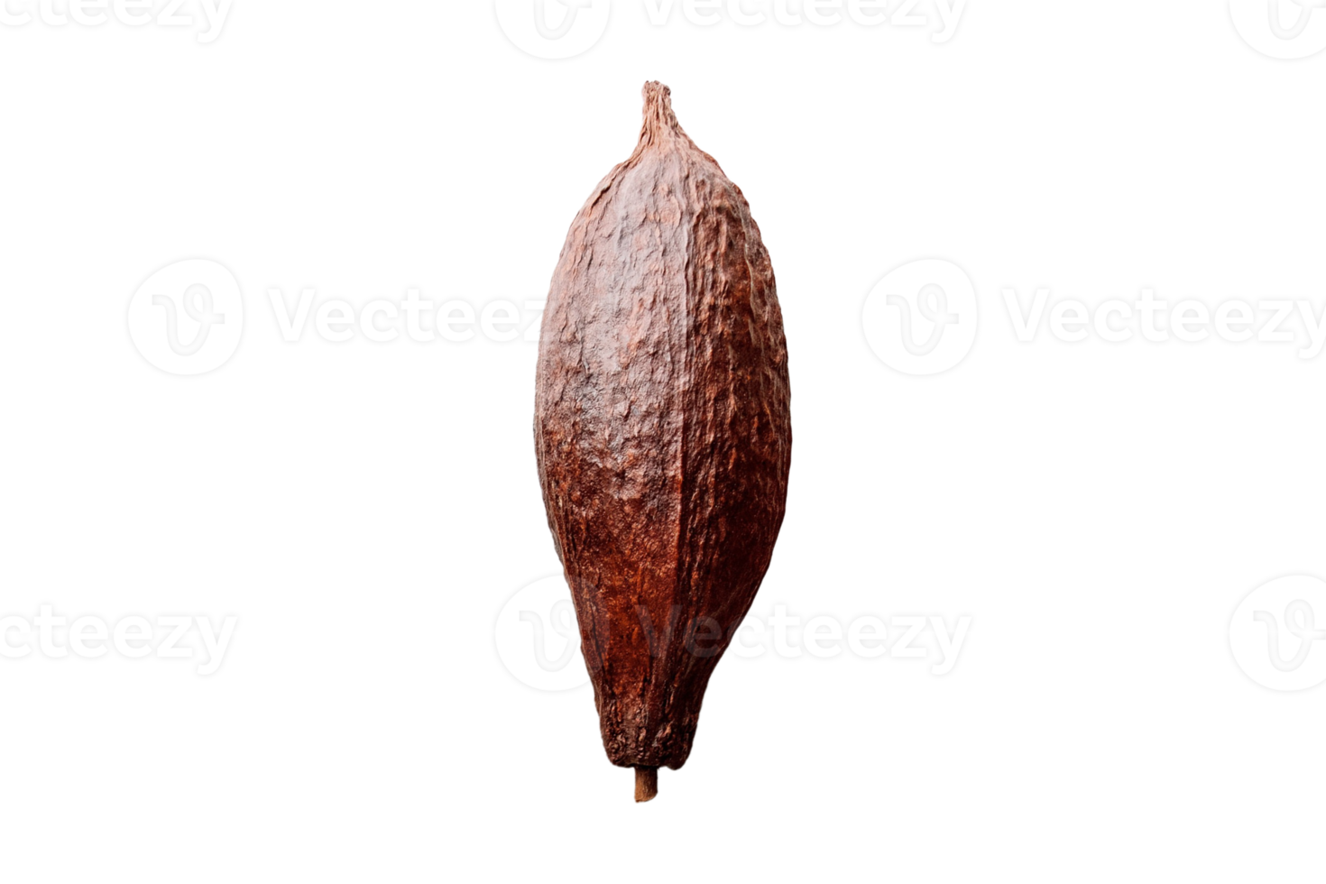 Cocoa fruit isolated on a transparent background png