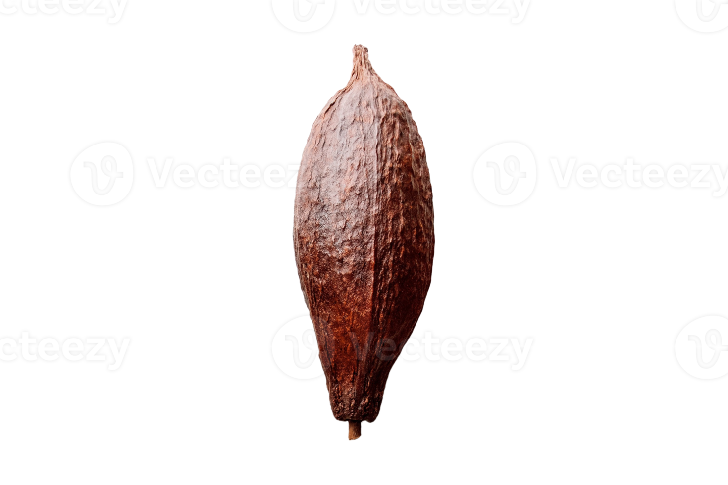 cacao Fruta aislado en un transparente antecedentes png