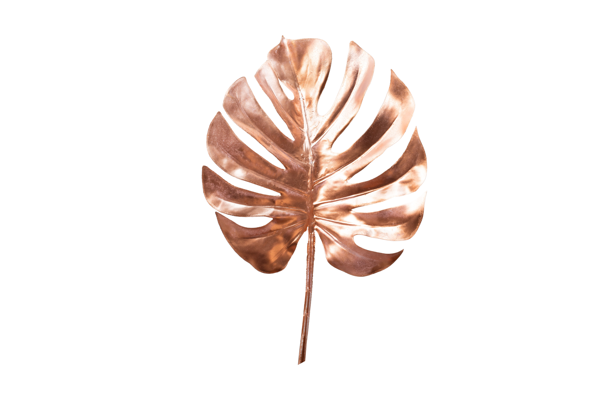 Golden decorative leaf isolated on a transparent background 22716926 PNG
