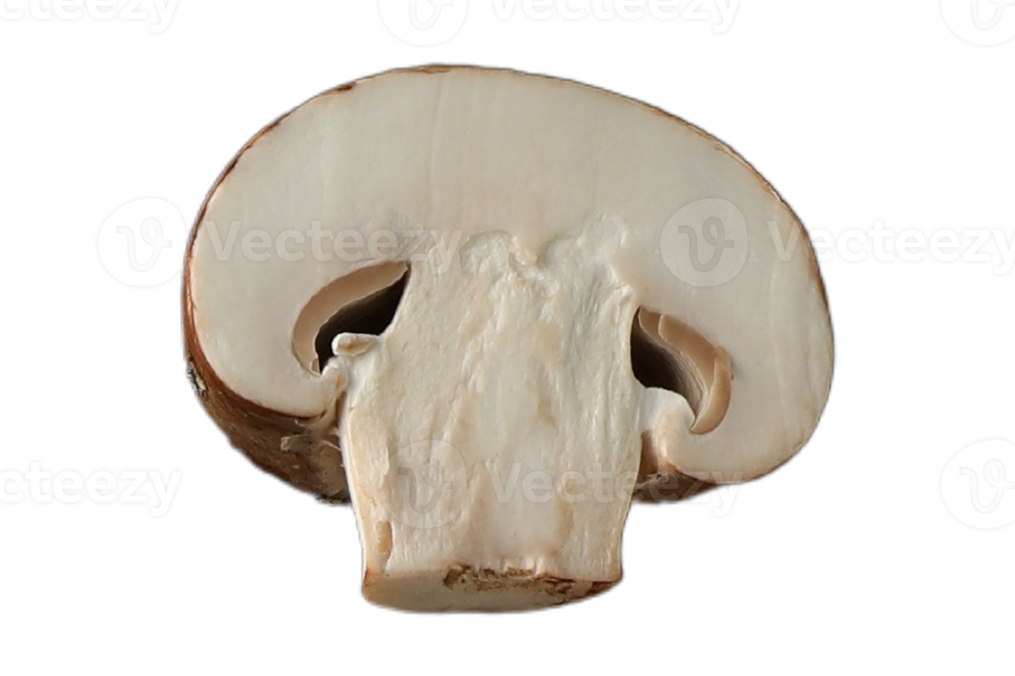Mushroom slice isolated on a transparent background png