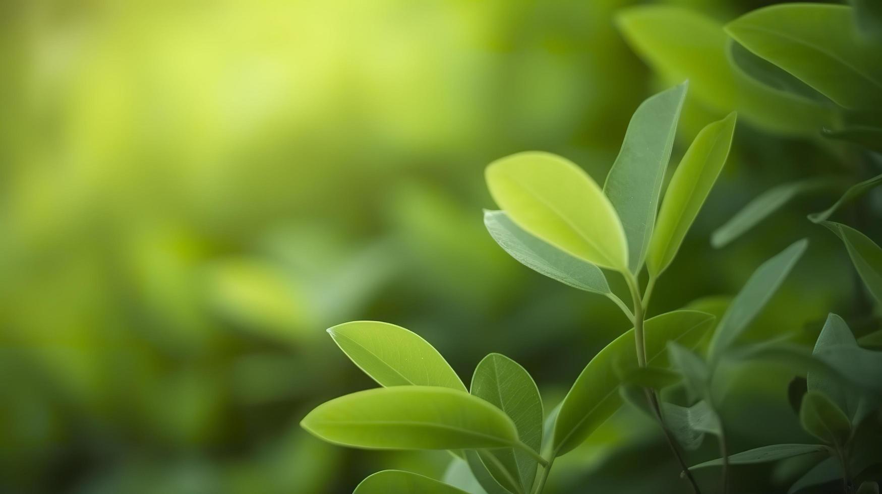 Close up beautiful view of nature green leaves on blurred greenery tree background, generat ai photo